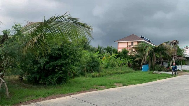 ที่ดินสวนออร์แกนิค 5 ไร่ ทำเลศักยภาพ ใกล้วัดไร่ขิง–ดอนหวาย–เซ็นทรัลศาลายา พื้นที่ธรรมชาติที่ผสมความสะดวกและความสงบได้อย่างลงตัว