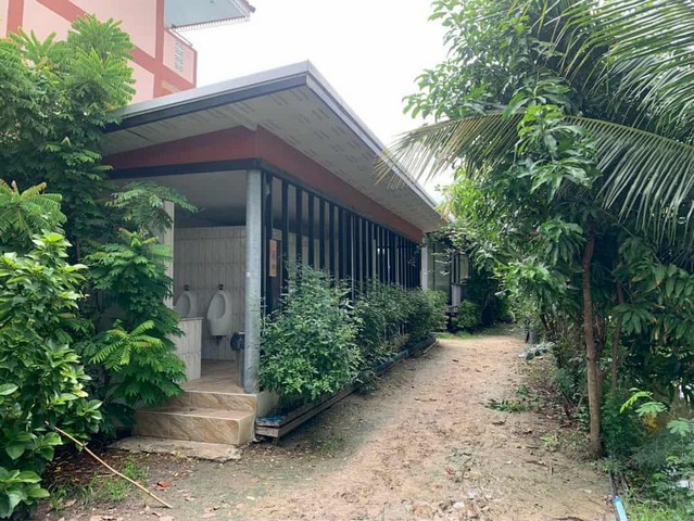 ที่ดินสวนออร์แกนิค 5 ไร่ ทำเลศักยภาพ ใกล้วัดไร่ขิง–ดอนหวาย–เซ็นทรัลศาลายา พื้นที่ธรรมชาติที่ผสมความสะดวกและความสงบได้อย่างลงตัว