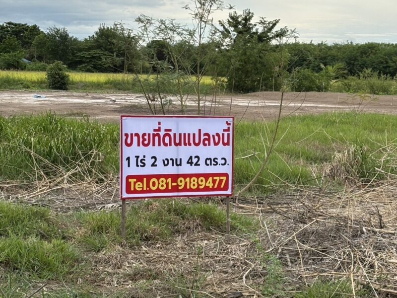 ขายที่ดินถมแล้ว เจ้าของขายเอง ทำเลดีติดถนนซอย 2 ฝั่ง พระนครศรีอยุธยา
