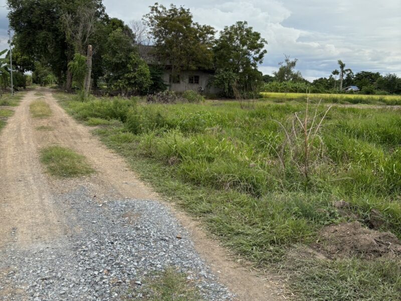 ขายที่ดินถมแล้ว เจ้าของขายเอง ทำเลดีติดถนนซอย 2 ฝั่ง พระนครศรีอยุธยา