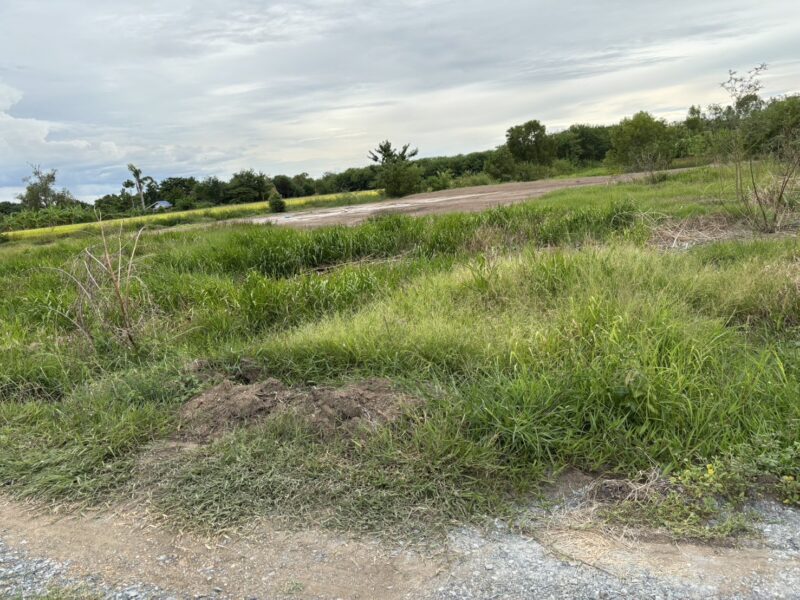ขายที่ดินถมแล้ว เจ้าของขายเอง ทำเลดีติดถนนซอย 2 ฝั่ง พระนครศรีอยุธยา