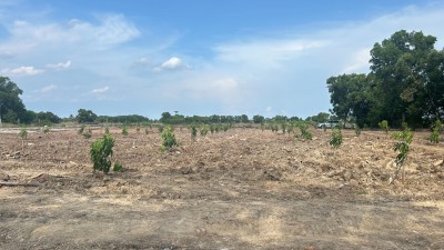 ขายที่ดินขนาด 4 ไร่ ใกล้สนามบินสุวรรณภูมิ ตำบลคลองสวน อำเภอบางบ่อ จังหวัดสมุทรปราการ