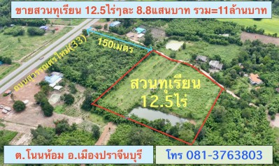 ขายสวนทุเรียน 12.5 ไร่ ตำบลโนนห้อม อำเภอเมือง จังหวัดปราจีนบุรี