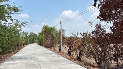 ขายที่ดินทำเลดี 30 ไร่ เจ้าของขายเอง อยู่ที่หมู่บ้านไทรงาม ตำบลโพธิ์งาม อำเภอประจันตคาม จังหวัดปราจีนบุรี081-3763803