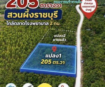 ขายที่ดิน 205 ตารางวา (นส.3ก.รอเดินสำรวจเอาโฉนด)ทำเลสวย อำเภอสวนผึ้ง จังหวัดราชบุรี