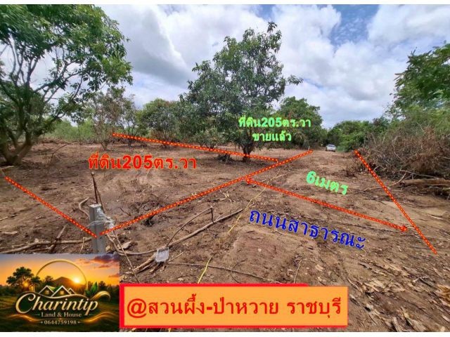 ขายที่ดิน 205 ตารางวา (นส.3ก.รอเดินสำรวจเอาโฉนด)ทำเลสวย อำเภอสวนผึ้ง จังหวัดราชบุรี