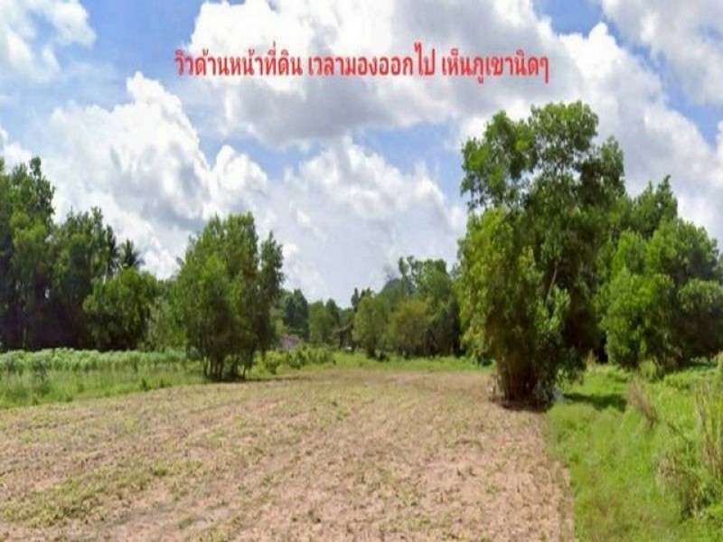 ขายที่ดินวิวภูเขา 19 ไร่ ใกล้สนามกอล์ฟฟีนิกซ์ พัทยา ติดถนน ราคาพิเศษ TP-L1406