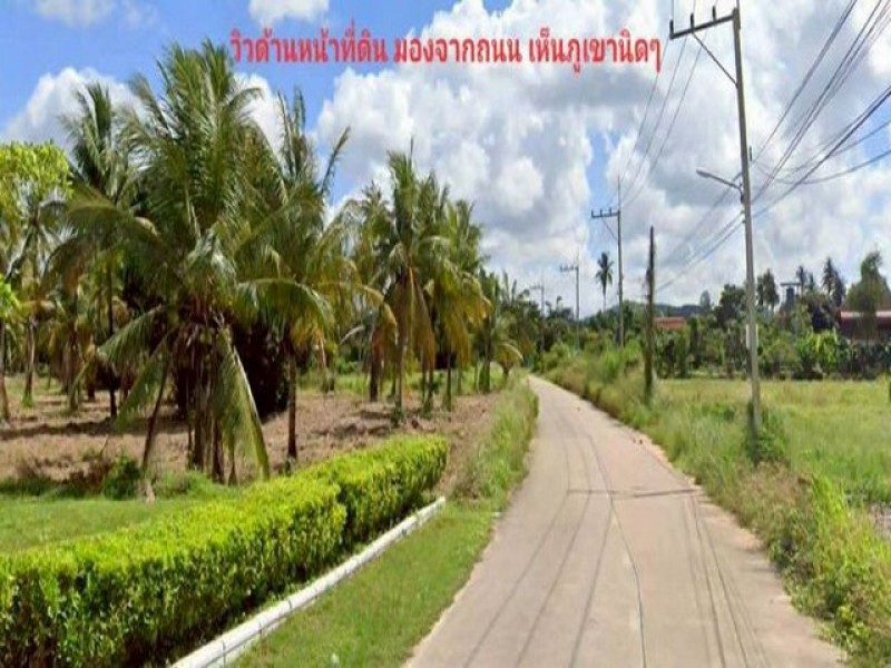 ขายที่ดินวิวภูเขา 19 ไร่ ใกล้สนามกอล์ฟฟีนิกซ์ พัทยา ติดถนน ราคาพิเศษ TP-L1406