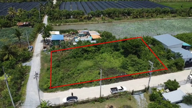 ขาย-ที่ดิน234 ตร.ว. ต.ลานตากฟ้า อ.นครชัยศรี จ.นครปฐม 2,800,000 บาท