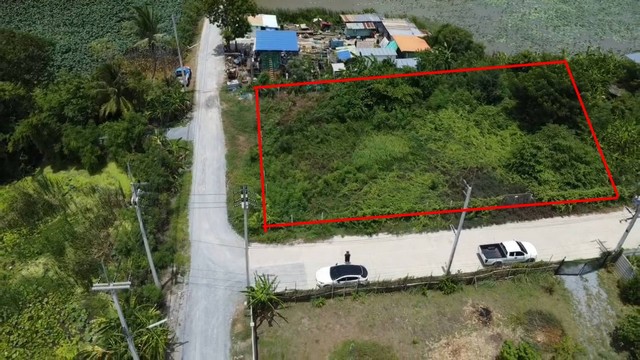 ขาย-ที่ดิน234 ตร.ว. ต.ลานตากฟ้า อ.นครชัยศรี จ.นครปฐม 2,800,000 บาท
