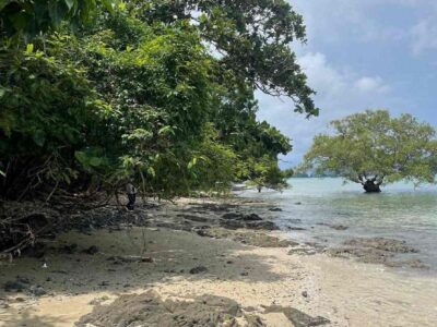 Vacant land for sale 35 Rai - prime location beachfront Lon island, Phuket