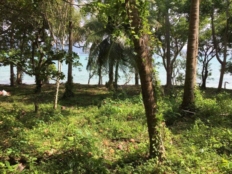 Vacant land for sale 35 Rai - prime location beachfront Lon island, Phuket