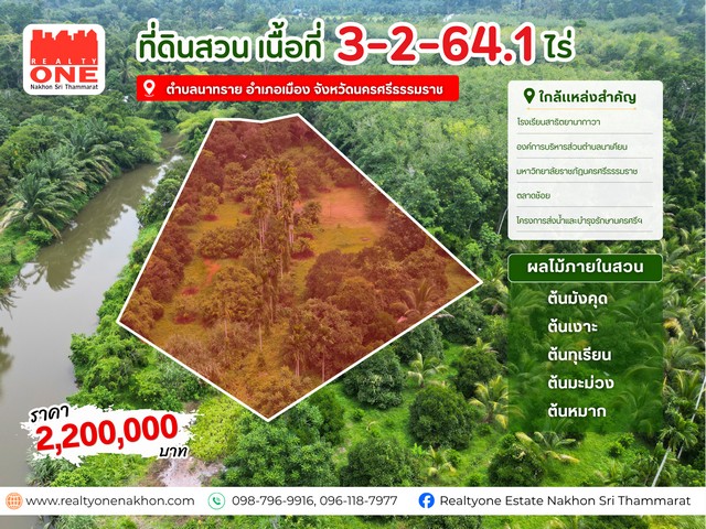 สวนผลไม้ ริมคลองบ้านตาล เนื้อที่ 3 - 2 - 64.1 ไร่ เหมาะสำหรับทำสวนเกษตร หรือทำบ้านสวน