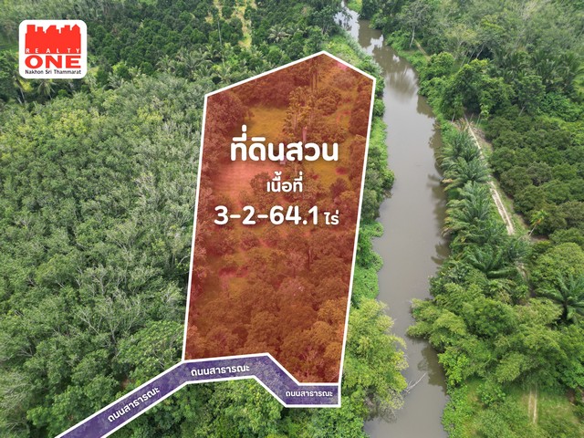 สวนผลไม้ ริมคลองบ้านตาล เนื้อที่ 3 - 2 - 64.1 ไร่ เหมาะสำหรับทำสวนเกษตร หรือทำบ้านสวน