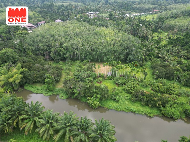 สวนผลไม้ ริมคลองบ้านตาล เนื้อที่ 3 - 2 - 64.1 ไร่ เหมาะสำหรับทำสวนเกษตร หรือทำบ้านสวน