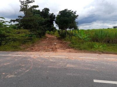 โคราชพื้นที่สูง ที่ดินพระทองคำ ทัพรั้ง เข้าจากคอนกรีต 4038 เพียง 190 เมตร พื้นที่สูงจากระดับน้ำทะเล น้ำไม่ท่วม สมรภูมิดี ขายราคากันเอง