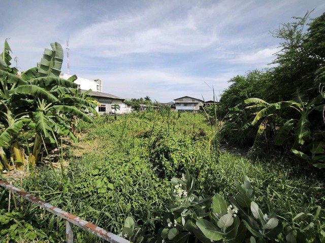 ขาย ที่ดินติดถนน 401วา ทำเลทวีวัฒนา ใกล้กาญจนาภิเษก – พุทธมณฑลสาย 3
