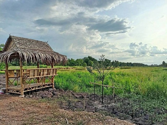 ที่ดิน แนวบ้านสวนวิวนา ราคาเบาสดผ่อนได้ ใกล้วัดป่าคลอง11 Tel 062-1574449