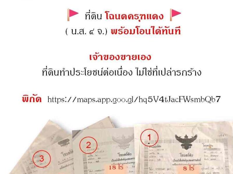 ขายที่ดินเปล่า 32 ไร่ แปลงใหญ่ ติดถนน 2 ด้าน ทำเลดี จังหวัดนครนายก