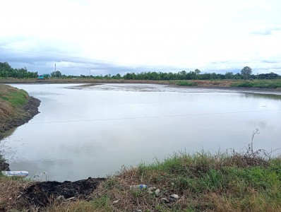 ขายที่ดินพานทองชลบุรี ขายที่บ่อเลี้ยงปลานิล เนื้อที่ 13 ไร่เศษ โซนนิคมอุตสาหกรรมอมตะcity ชลบุรี พานทอง เฟส 8-9-10