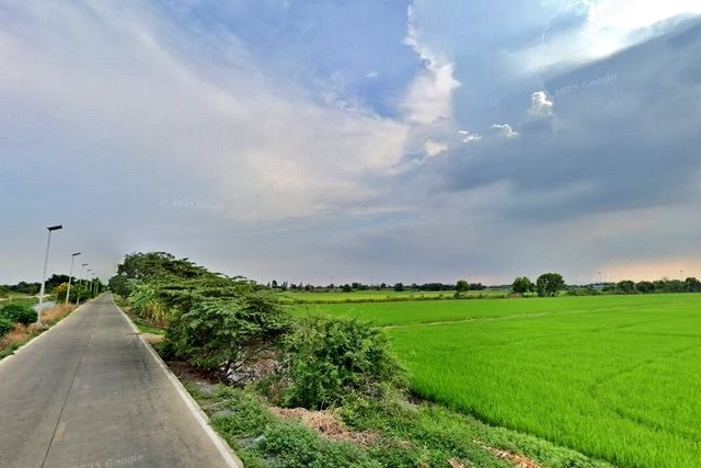 ขายที่ดินแปลงใหญ่ 36 ไร่ 1 งาน คลองสาม – คลองแอน ตำบล คลองสาม อำเภอคลองหลวง