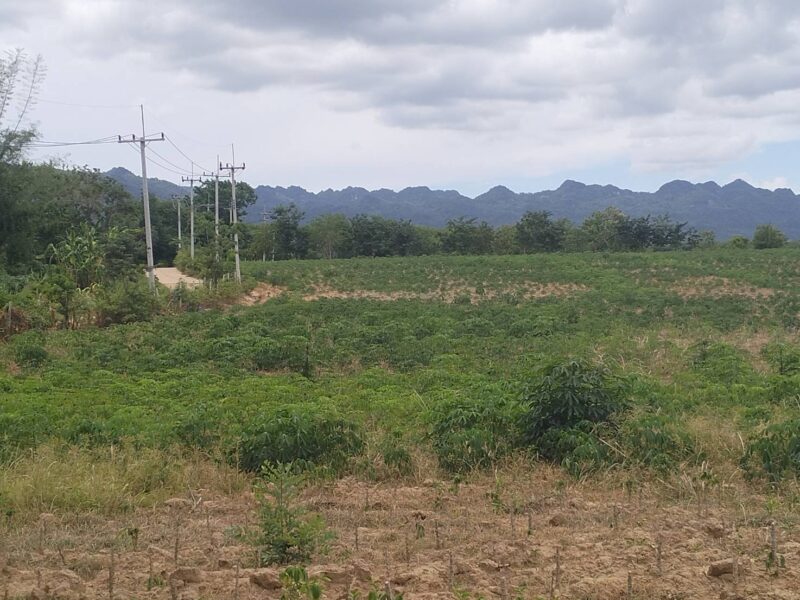 ขายที่ดินเปล่า ทำเลดี ติดแม่น้ำ วิวโค้งน้ำสวย อ.ไทรโยค กาญจนบุรี