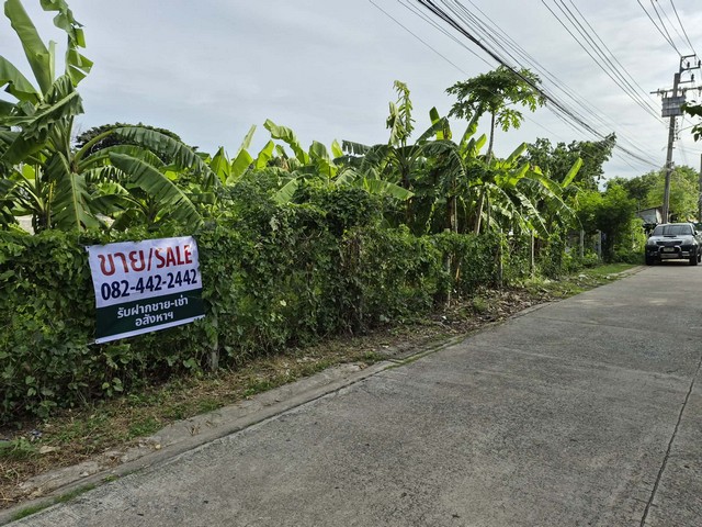 ขาย ที่ดินถมแล้ว 1 ไร่ ใกล้สวนหลวง ร. 9, ห้างพาราไดซ์, รถไฟฟ้า, รพ.สินแพทย์ เพียง 3-5 นาที ราคาดีที่สุดในย่านนี้ !!