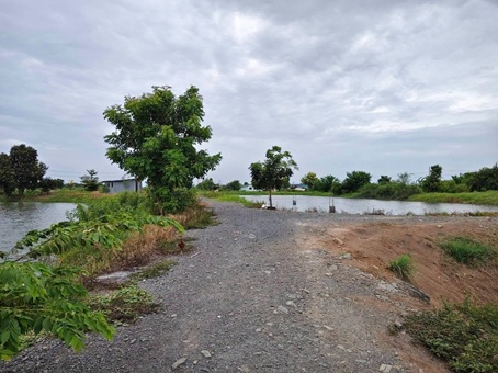 ขายที่ดินบ้านโพธิ์ฉะเชิงเทรา ที่ดินเนื้อที่รวมทั้งหมด 22-3-24 ไร่ (มีทั้งหมด 2 แปลง)