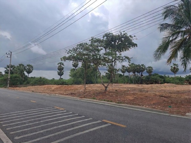 ขาย ที่ดิน ติดถนนหน้าหาดสุชาดา ระยอง ทำเลเหมาะพัฒนาโรงแรม / คอนโดมิเนียม