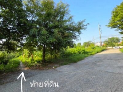 ขายที่ดินปทุมธานี แปลงมุม อำเภอเมือง ถนนปทุมธานีสายใน