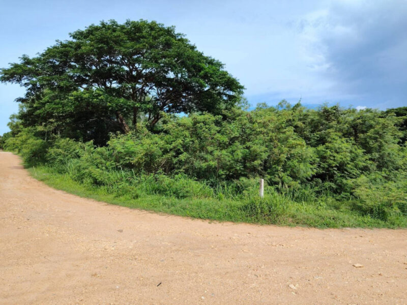 ขายที่ดินประจวบคีรีขันธ์ 1 ไร่ 0 งาน 60 ตร.ว. ใกล้โรงเรียนนานาชาติหัวหิน