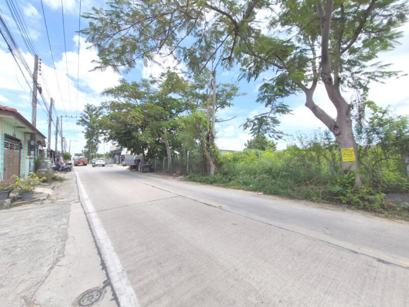 ขายถูก ที่ดิน ซอยหมู่บ้านพรรณณิภา ซอยรังสิต-นครนายก 83 ขนาด 958 ตรว