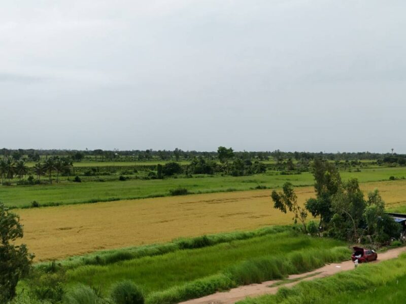 ขายที่ดินจัดสรร องครักษ์ นครนายก เหมาะสร้างบ้าน โฉนดครุฑแดง พร้อมโอน