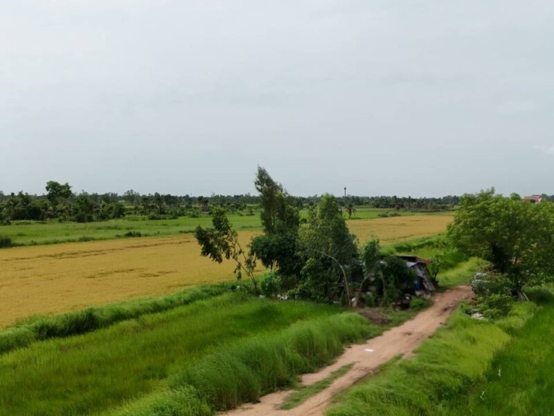 ขายที่ดินจัดสรร องครักษ์ นครนายก เหมาะสร้างบ้าน โฉนดครุฑแดง พร้อมโอน