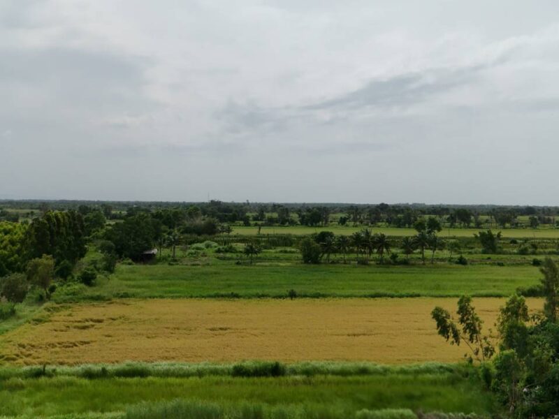 ขายที่ดินจัดสรร องครักษ์ นครนายก เหมาะสร้างบ้าน โฉนดครุฑแดง พร้อมโอน