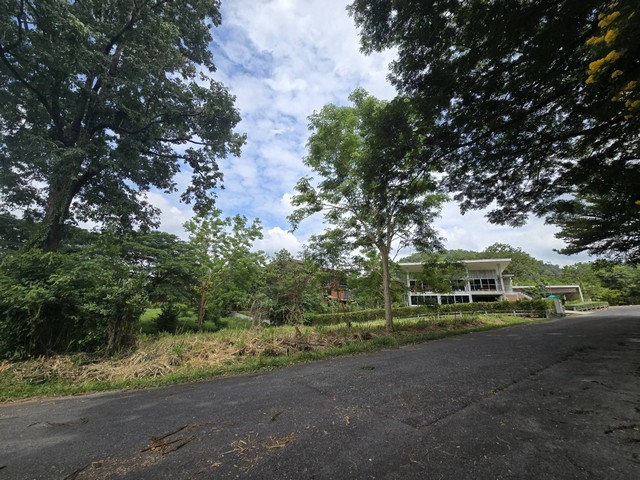 2303 ขาย ที่ดิน ภูภัทรา เขาใหญ่ 4348500 บาท 290 ตร.วา ชั้นทั้งหมด 1 ชั้น
