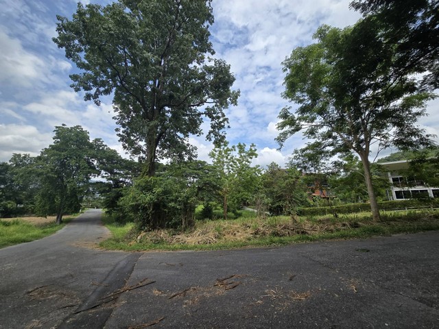 2303 ขาย ที่ดิน ภูภัทรา เขาใหญ่ 4348500 บาท 290 ตร.วา ชั้นทั้งหมด 1 ชั้น