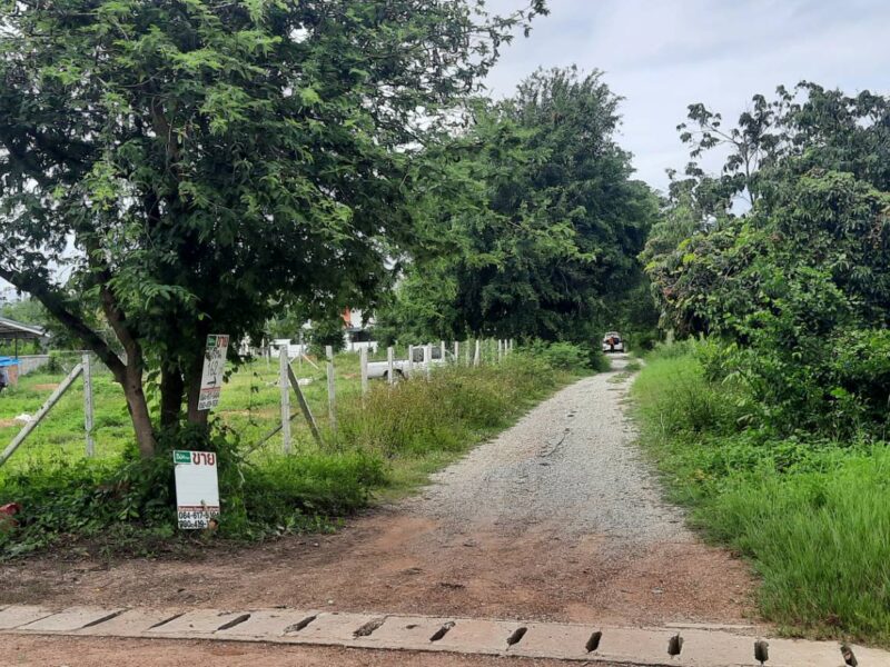 ขาย ที่ดิน - 1 งาน 162 ตารางวา 600000 บาท ใกล้กับ ตลาดบ้านกาดหรือ โรงเรียนบ้านกาด เชียงใหม่
