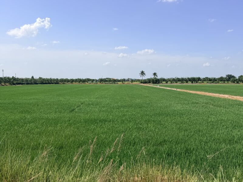 ที่ดินแบ่งแปลง ถมแล้ว บางบัวทอง 75-400 ตรว.