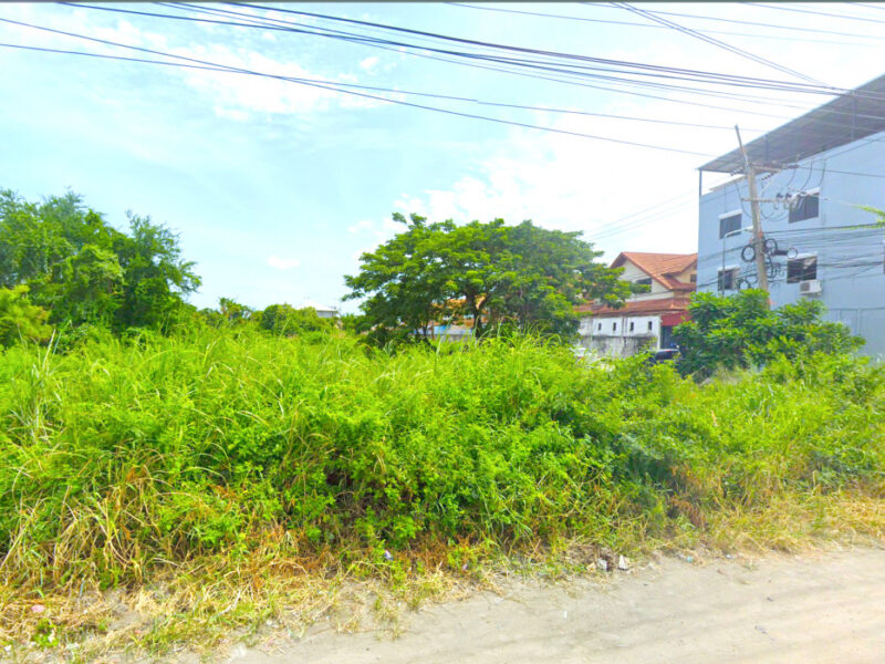 ขาย ที่ดิน ริมถนนชัยพฤกษ์ บางละมุง ชลบุรี 3 ไร่ 7.3 ตรว ใกล้หาดจอมเทียน เพียง 800 เมตร