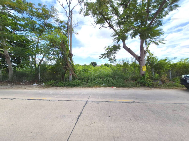 ขายถูก ที่ดิน ซอยหมู่บ้านพรรณณิภา ซอยรังสิต-นครนายก 83 ขนาด 958 ตรว
