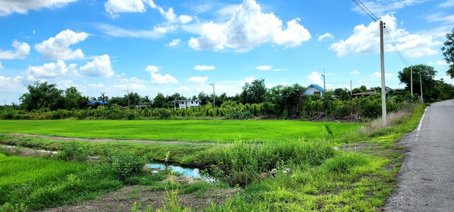 ขายที่ดิน คลอง23 องครักษ์ ขายต่ำกว่าราคาประเมินมาก ติดถนนลาดยาง 22 ไร่ เหมาะทำจัดสรรแบ่งแปลงขาย ทำเลดี