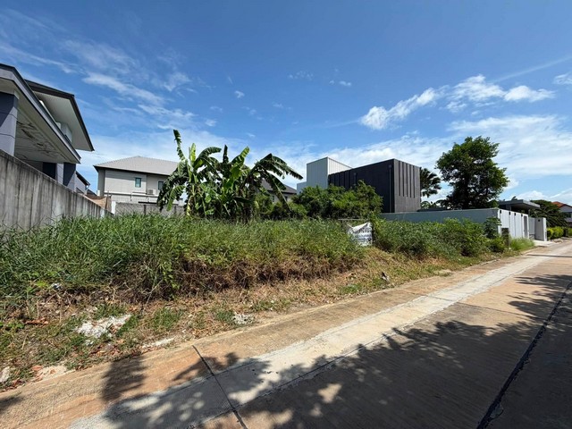 ขายที่ดิน 160 ตรว. ในหมู่บ้านปรีชา วัดหนามแดง ศรีนครินทร์ สมุทรปราการ