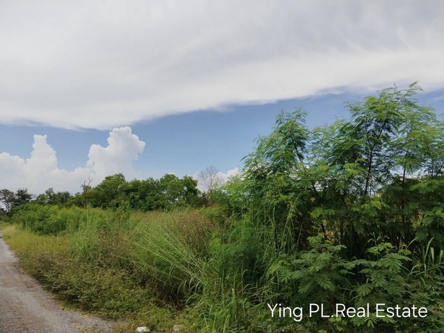 ด่วนขายที่สวย ทำเลดี ในซอยวิทยาลัยเทคโนโลยีแหลมทอง บางหลวง ปทุมธานี
