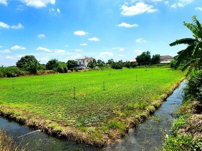 ขายที่ดินคลอง 12 หนองเสือ 1 ไร่ ติดถนน 2 ด้าน เหมาะปลูกบ้านสวน ทำเกษตรพอเพียงได้ ทำโกดัง อยู่ใกล้แหล่งชุมชน