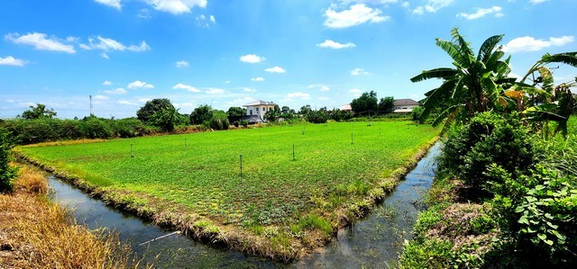 ขายที่ดินคลอง 12 หนองเสือ 1 ไร่ ติดถนน 2 ด้าน เหมาะปลูกบ้านสวน ทำเกษตรพอเพียงได้ ทำโกดัง อยู่ใกล้แหล่งชุมชน