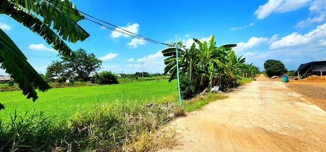 ขายที่ดินคลอง 12 หนองเสือ 1 ไร่ ติดถนน 2 ด้าน เหมาะปลูกบ้านสวน ทำเกษตรพอเพียงได้ ทำโกดัง อยู่ใกล้แหล่งชุมชน