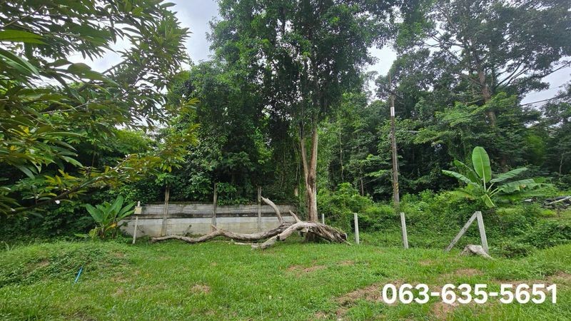 ขายสวนทุเรียนวิวเขา บรรยากาศดี หน้าติดถนนลาดยาง ท้ายติดลำธาร ที่ดินโฉนดครุฑแดง พร้อมโอน ต.เขาพระ อ.เมืองนครนายก จ.นครนายก