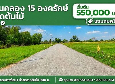 ขายที่ดินตลาดต้นไม้คลอง15 องครักษ์ 100 ตรว เจ้าของขายเอง เหมาะปลูกบ้านสวน