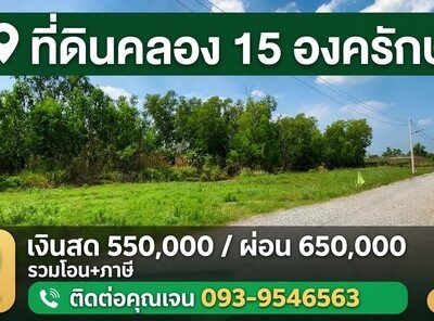 ขายที่ดิองครักษ์ นครนายก 100 ตรว ใกล้ตลาดต้นไม้ เจ้าของขายเอง